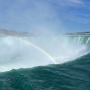 Meet your Posher, Lucy